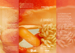 plaquette - WordPress.com