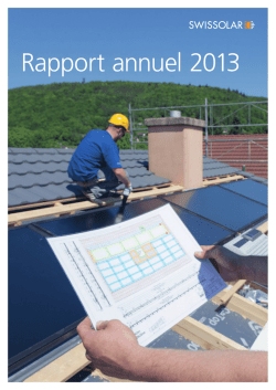 Rapport annuel 2013