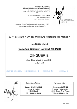 sujet zinguerie MAF 2015. - Meilleurs Ouvriers de France