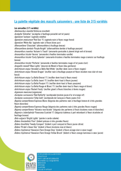 D&eacute;couvrez la palette v&eacute;g&eacute;tale des massifs saisonniers chavillois