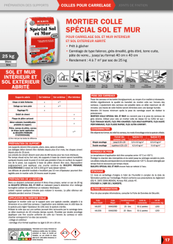 MORTIER COLLE SP&Eacute;CIAL SOL ET MUR