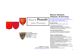 Maison de Prunelé (alias Prunelay) - Racines & Histoire