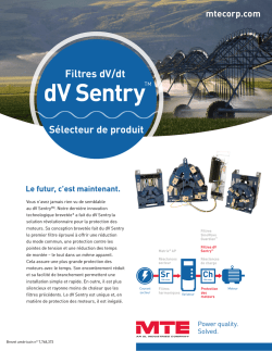 dV Sentry&trade; - MTE Corporation