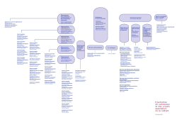 Organigramme OPPIC17062015