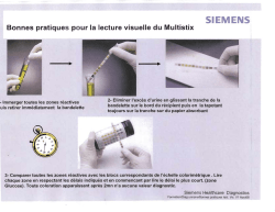 Bonnes pratiques pour la lecture visuelle du Multistix