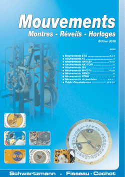 SFC Morteau t&eacute;l 03 81 67 18 34