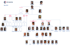 organigramme CCIR Cenre