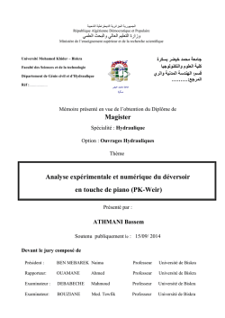 Zafu Bleu Gm pdf free