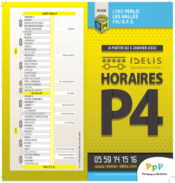 Dépliant horaires Ligne P4 Lons Perlic - Pau EFS