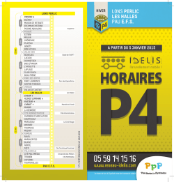 D&eacute;pliant horaires Ligne P4 Lons Perlic - Pau EFS
