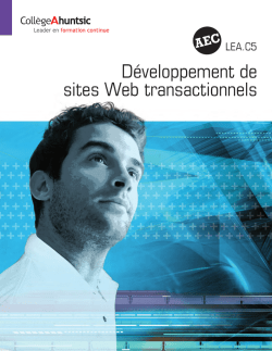 D&eacute;veloppement de sites Web transactionnels