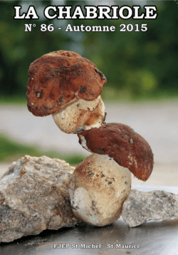la chabriole N° 86 en ligne