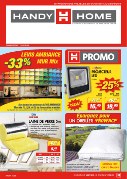 LEVIS AMBIANCE MUR Mix