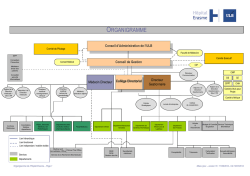 Visio-Organigramme_Institution_140617