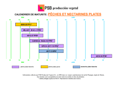 CALENDRIER DE MATURITE: P&Ecirc;CHES ET NECTARINES PLATES