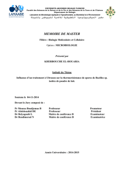 MEMOIRE DE MASTER
