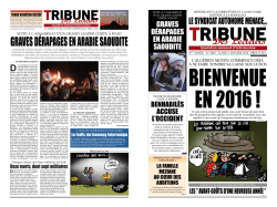 RABIE SAOUDITE - tribunelecteurs