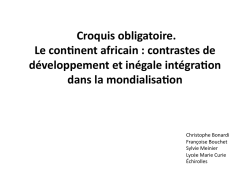 Croquis obligatoire. Le con`nent africain : contrastes de