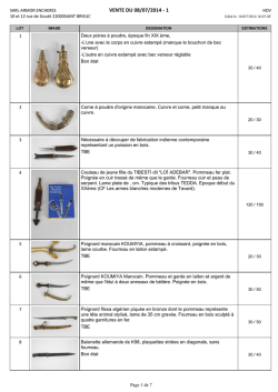 TELECHARGER LE DESCRIPTIF COMPLET ARMES
