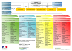 Organigramme