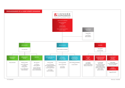 ORGANIGRAMME DE LA SAEM VENDÉE EXPANSION