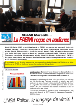 La FASMI re&ccedil;ue en audience - Unsa