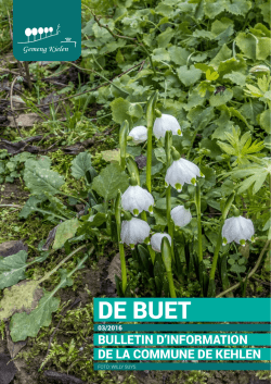 DE BUET - Kehlen