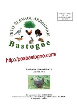 Revue complète - Petit Elevage Ardennais de Bastogne
