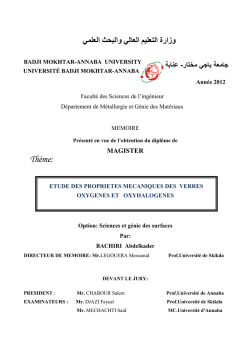 Figure11 : Micrographie &eacute;lectronique