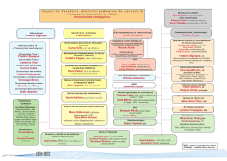 organigramme 2014-2015