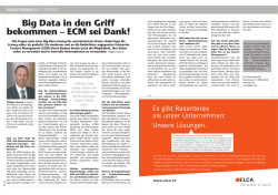 Big Data in den Griff bekommen &ndash; ECM sei Dank!