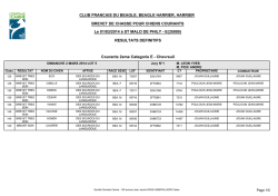 CLUB FRANCAIS DU BEAGLE, BEAGLE HARRIER, HARRIER