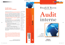 Audit interne - Fichier PDF