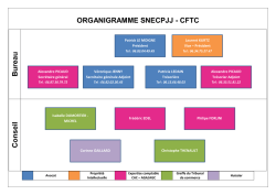 ORGANIGRAMME SNECPJJ - CFTC B ureau C on seil