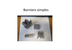 Borniers simples