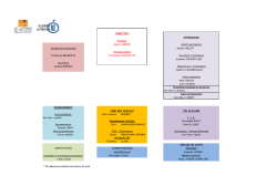 organigramme_lycee_amelin