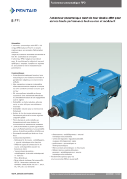 Biffi Pneumatic Actuators, Models RPD/RPS