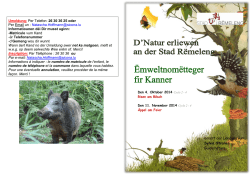 26 30 36 25 oder Per Email un : Natascha.Hoffmann