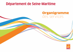 Organigramme des services au 12/11/14
