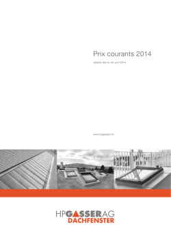 El&eacute;ment HPG avec Velux et Roto