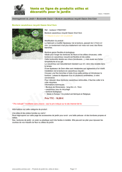 Bordure caoutchouc recycl&eacute; Gazon 5mx13cm