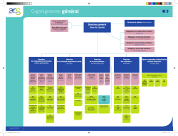Organigramme g&eacute;n&eacute;ral