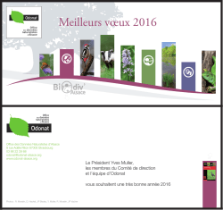 Meilleurs v&oelig;ux 2016