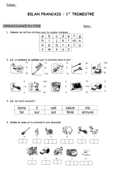 bilan fran&ccedil;ais 1 T