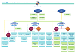 Organigramme de la Direction Générale