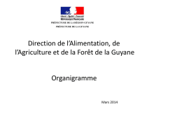 Organigramme DAAF de Guyane