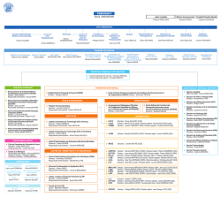Organigramme VF MR 03-03-14
