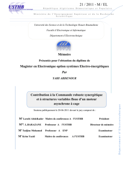 Contribution &agrave; la commande robuste synerg&eacute;tique et