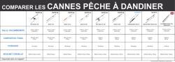 COMPARER LES CAnnES PêChE à dAndinER