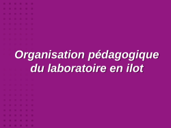 Organisation pédagogique par ilôts
